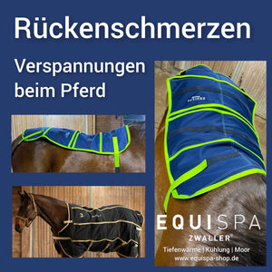 Rückenschmerzen beim Pferd.