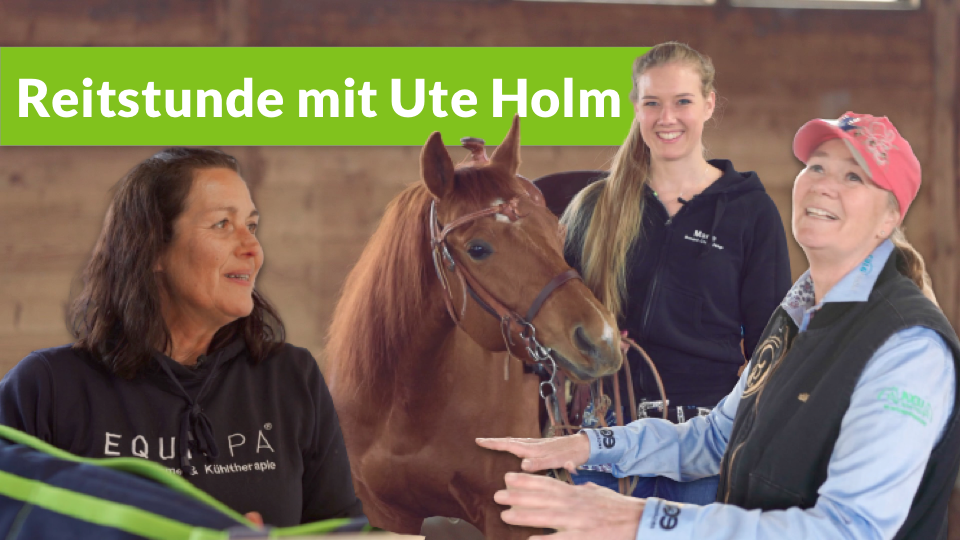 EQUISPA Reitstunde mit Ute Holm
