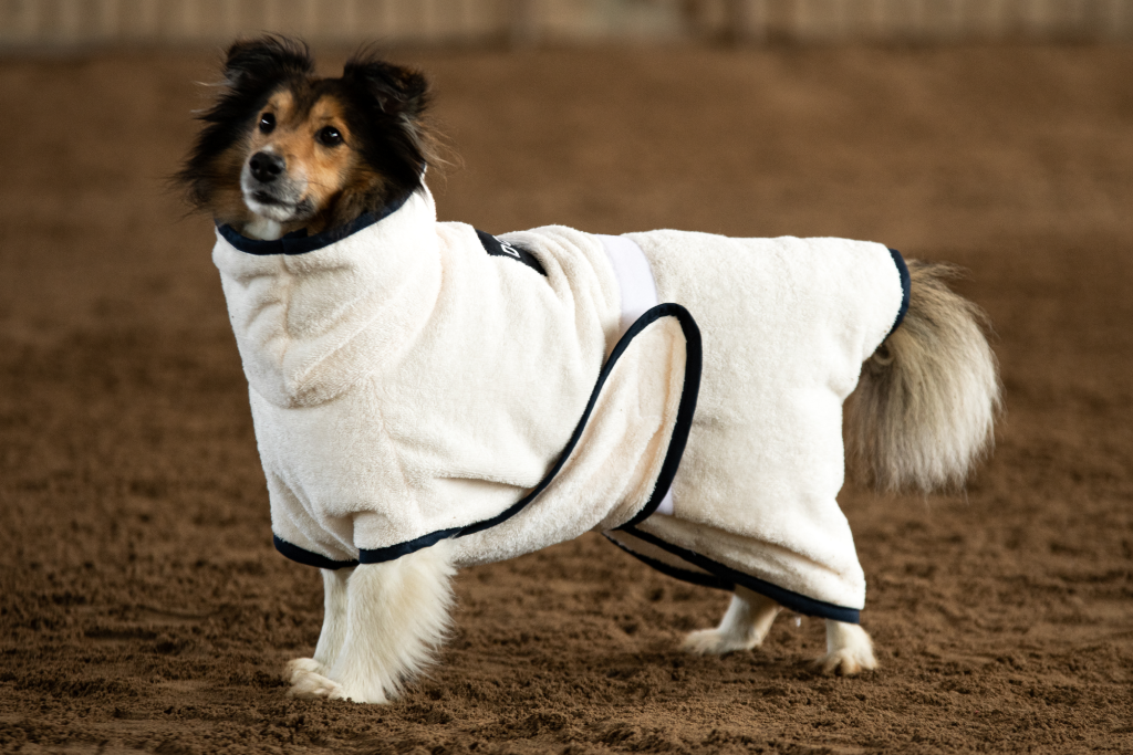 DOGSPA Hundebademantel (nach Maß)