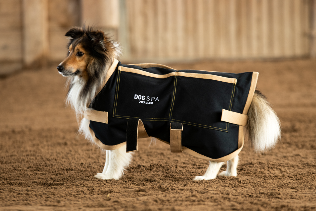 EQUISPA – DOG dog coat (size 3)