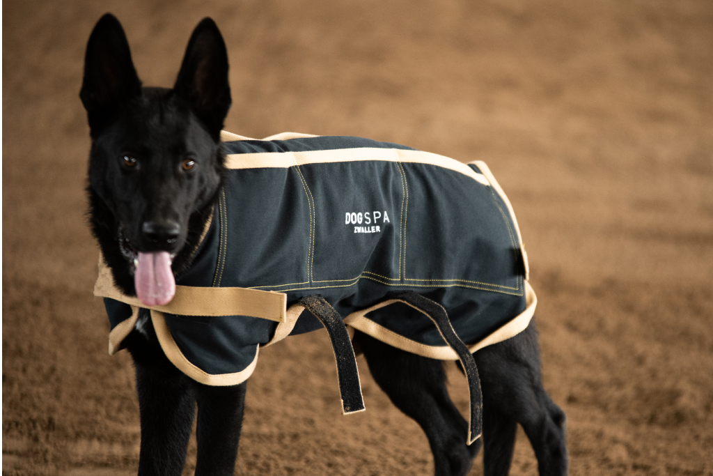 EQUISPA – DOG dog coat (size 4)