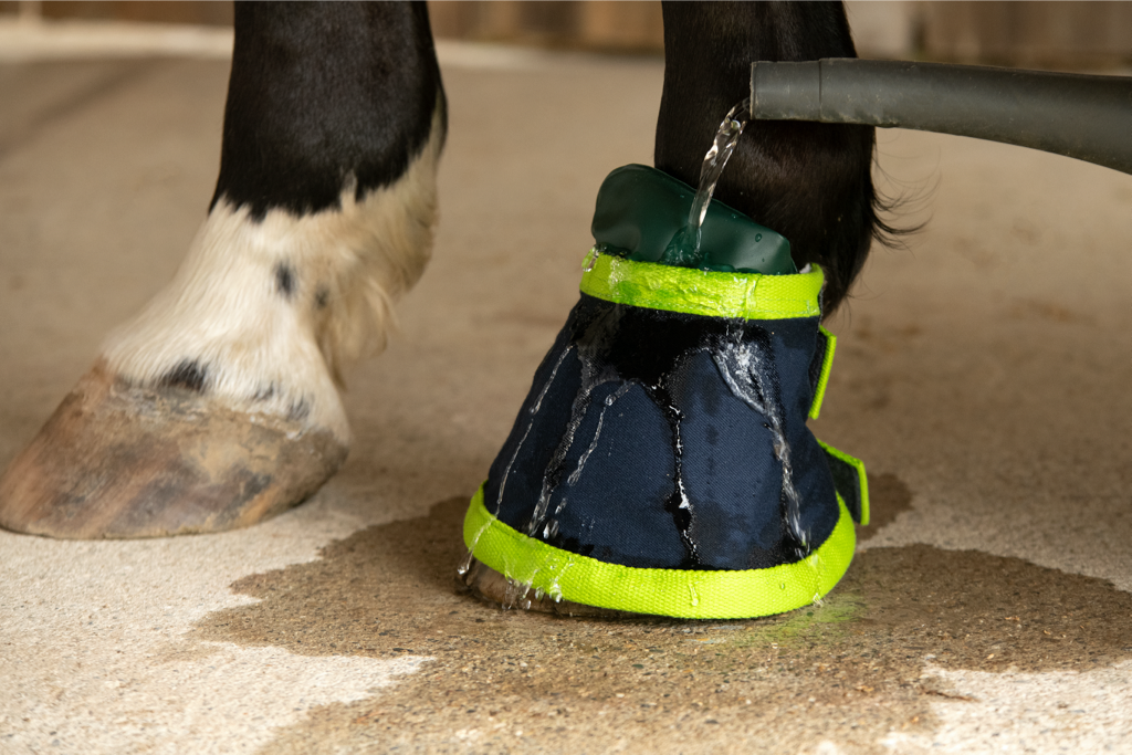EQUISPA hoof bell with slit